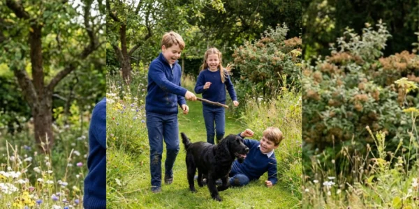 The British Royal Family Welcomes a New Furry Member: Peter the Dog