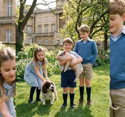 Buckingham Palace is More Bustling Than Ever: Meet Duke Porksworth! Buckingham Palace is More Bustling Than Ever: Meet Duke Porksworth!