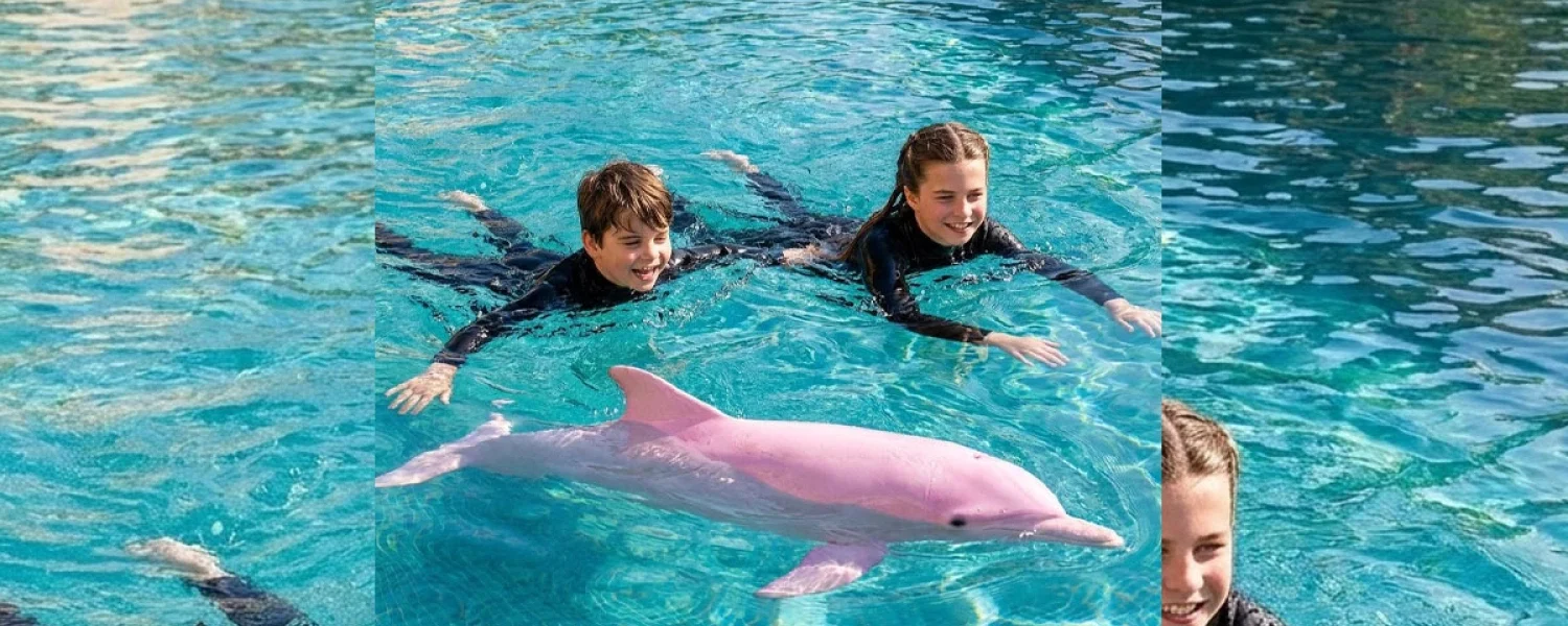 A Royal Encounter: The Curious Case of Prince Louis, Princess Charlotte, and Lucy the Dolphin