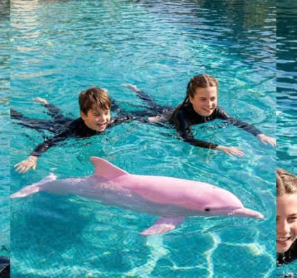 A Royal Encounter: The Curious Case of Prince Louis, Princess Charlotte, and Lucy the Dolphin A Royal Encounter: The Curious Case of Prince Louis, Princess Charlotte, and Lucy the Dolphin