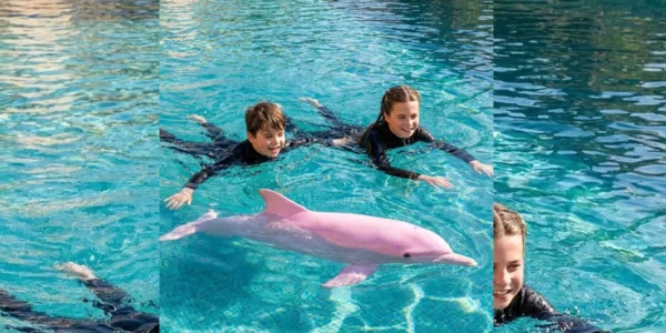 A Royal Encounter: The Curious Case of Prince Louis, Princess Charlotte, and Lucy the Dolphin
