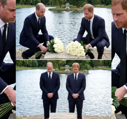 A Silent Tribute: William and Harry at Diana’s Resting Place
