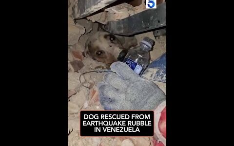 Trapped Under Rubble for Days Trapped Under Rubble for Days